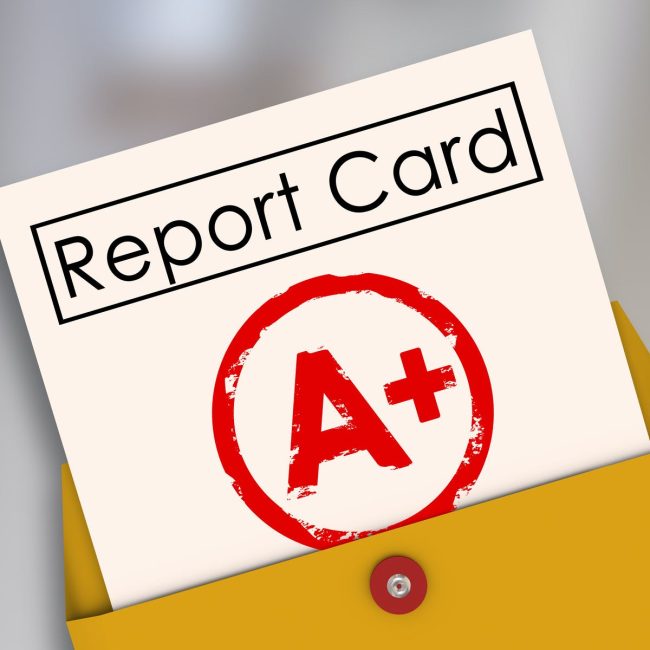 Student Reports 